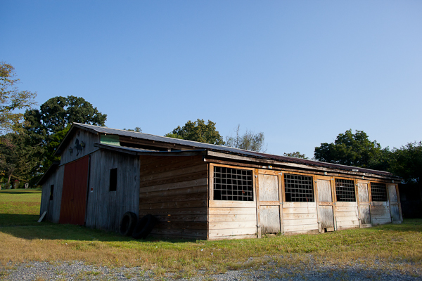 The now-vacant barn Larry Wheelon used to train 27 horses, in Maryville, Tennessee. Wheelon was evicted from the premises in June, less than a month after USDA officials seized 19 of the 27 horses after receiving allegations of animal cruelty. (Photo: Adam McCauley)